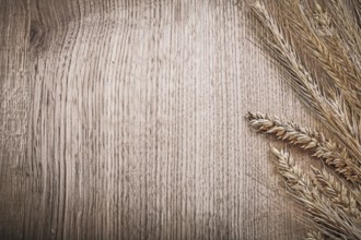Wheat rye ears on wooden board copyspace food and drink concept