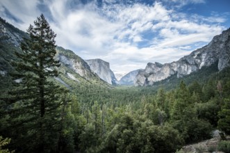 Yosemite el capitan and half dome scienic view panorama