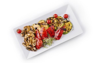 Food, Vibrant grilled vegetables on a square plate, perfect for culinary concepts