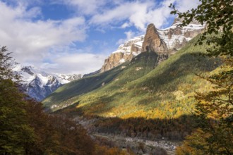 Autumn forest on the Turieto road, Ordesa i Monte Perdido National Park, Province of Huesca, Aragon