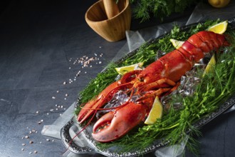 The cooked lobster on ice