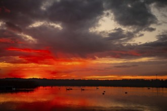 A breathtaking sunset captivatingly painting the sky with vibrant colors that shimmer over tranquil
