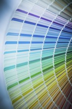 Color sampler on white surface top view
