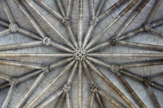 Chapter house, star vault, St., Saint, Saint