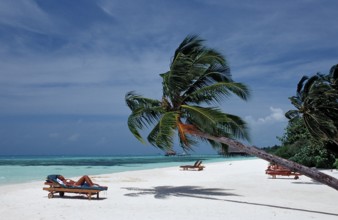 Beach on Maldives Island, Maldives, Indian Ocean, Medhufushi, Meemu Atoll