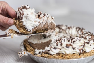 Photo of delicious cream pie ready to server