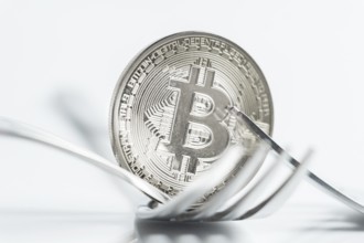 Macro photo of Bitcoin cryptocurreny fork concept with reflection, hard fork