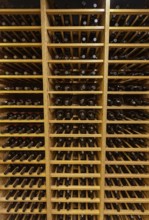 Bottles with wine stacked on wooden racks