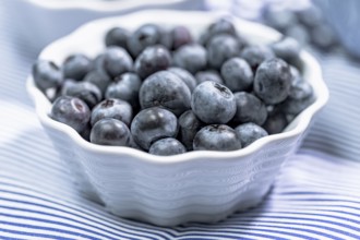 Blueberries in a small white bowl on a light blue background, close up