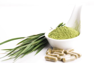 Young barley graß Detox superfood