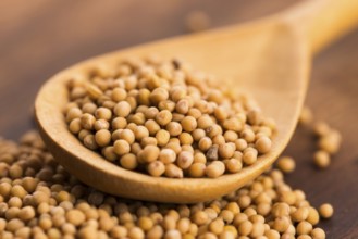 Sharp mustard seeds on a wooden background