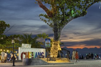 Tree, illuminated, promenade with people, evening, Chenang Beach, Langkawi, Kedah State, Malaysia,