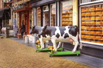 Delft, Netherlands, April 6, 2016: Selection of Dutch cheese at farmers traditional shop and cow