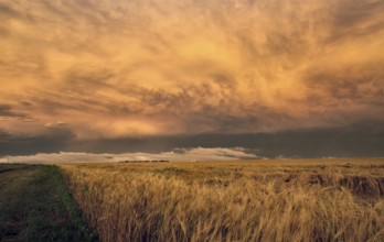 Storm Clouds Prairie Sky Canada Ominous danger