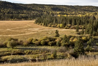 Autumn Colors Cypress Hills Canada interprovincial Park