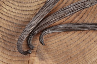 Vanilla beans on wooden board, closeup photo from above, Pribylina, Slovakia