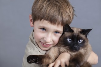 Portrait of a child with a cat. A boy with a Siamese cat