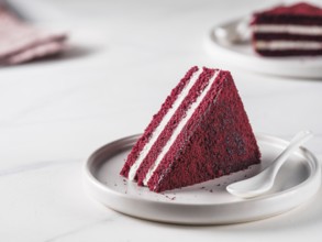 Piece of red velvet cake with perfect texture in matte plate on white marble tabletop. Slice of