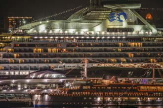 Luxury liner which is visible from the hill park with views of the harbor (Coral Princess).