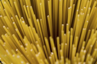 Beautiful background of Italian pasta for various use