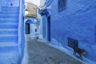 Medina of Chefchauen, -Chauen-, Morocco, north of Africa