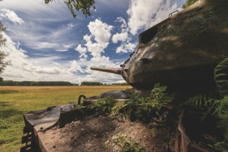 An abandoned tank stands in a meadow under a cloudy sky, surrounded by open and green nature in
