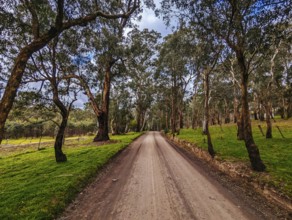 Australian rural country scene at the base of Kinglake near Arthurs Creek, Victoria, Australia