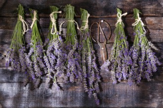 Small bunches of lavender flowers presented on dark wood background