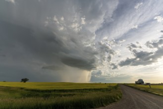 Summer Storms in the Canadian Prairies Dramatic Scenes