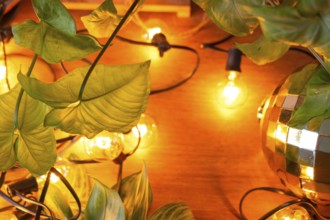 Wooden background with garland lamps and green leaves of a home potted plant and a glowing ball.