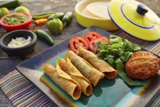 Mexican flautas rolled tacos with salsa and Mexico food ingredients