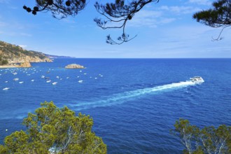 Tossa de Mar Aerial view in Costa Brava of Girona Catalonia spain