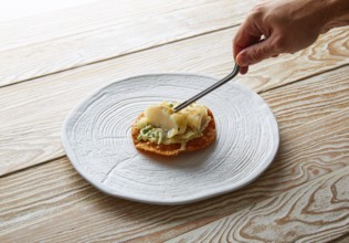 Fish with mayonnaise and parsley on crunchy tortilla molecurar gastronomy