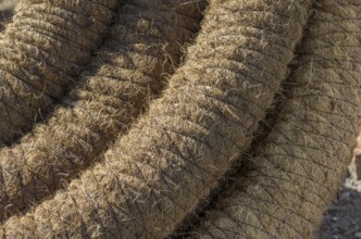 Sealing building material