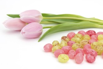 Jelly Easter eggs near pink tulips on white background Jelly Easter eggs near pink tulips on white