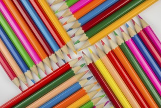 Abstract composition of a set wooden colour pencils against a white background
