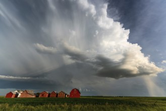 Summer Storms in the Canadian Prairies Dramatic Scenes