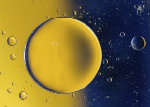 Abstract macro with oil drops in water, looking like planets in space