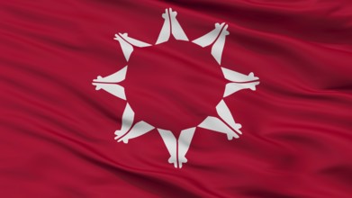 Pine Ridge Indian Flag, Closeup View