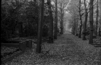 GDR, Berlin, 25.10.1987, Jewish cemetery Weißensee, autumn, avenue, chair