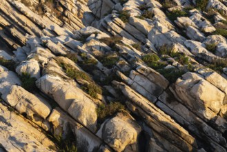 Beautiful schist cliff details in Baleal island at sunset in Peniche, Portugal