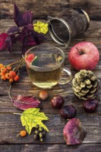 Transparent cup with herbal tea on the table strewn with autumn leaves, chestnuts and pine cones