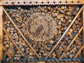 Logs of a tree. The sawn wood. The texture of the sawn wood
