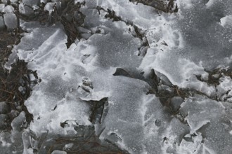 Nature, melting ice pattern, Province of Quebec, Canada