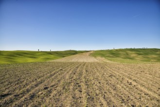 The Crete Senesi are one of the most famous areas of Tuscany