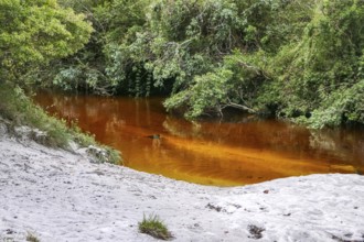 Idyllic view of an orange colored creek with sandy beach and green forest, Caraca Natural Park,