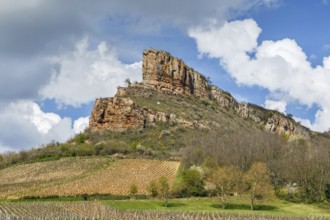 Rock of Solutre (French: Roche de Solutre), is a limestone slope 8 km west of Macon, France