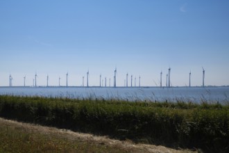 Wind turbines for environmentally friendly power generation on the North Sea, Netherlands