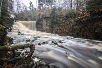 Landscape shot of a large waterfall in a spruce and birch forest and in nature. Autumn landscape