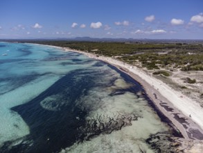 Es Trenc beach, Campos municipality, Mallorca, Balearic Islands, Spain